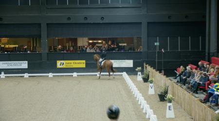 022. PRIDE 023. PJETHRO