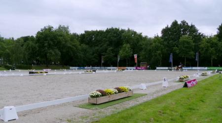 Halve finale Pavo Cup - 5-jarige Dressuurpaarden Groep 3
