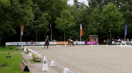 Halve finale Pavo Cup - 4-jarige Dressuurpaarden Groep 1