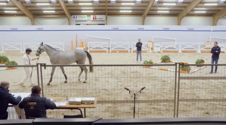 139. ACDC VD GULDENNAGEL