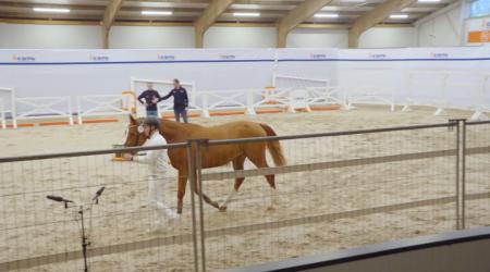 076. EUROSPORT HSA Z