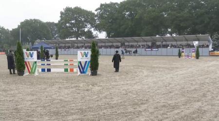 Nationale Tuigpaardendag 2023 - Vijfjarige fokmerries (*) in het