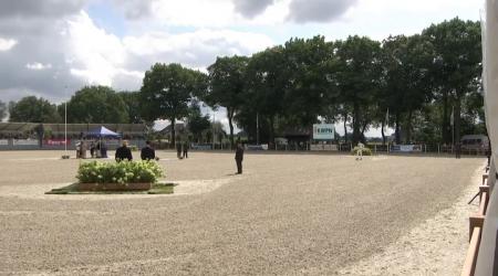 Westfort Hengstencompetitie 