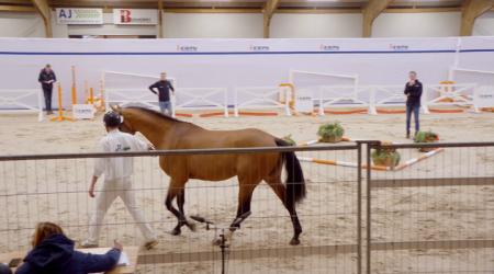 008. BAKERSFIELD VDL Z