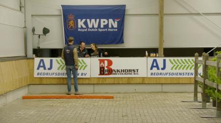 Dressuur en Gelderse hengsten Eerste bezichtiging - 11 december