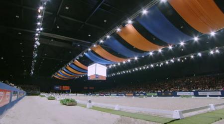 Finale Anemone Horse Trucks Hengstencompetitie - Klasse Z