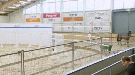 316. Titus Fils D'Zita S