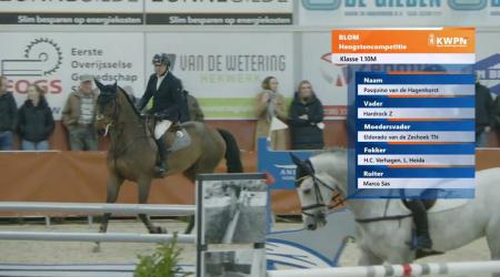 050 Pasquino van de Hagenhorst