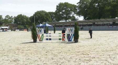 Nationale Tuigpaardendag 2023 - Zeven- en achtjarige fokmerries 