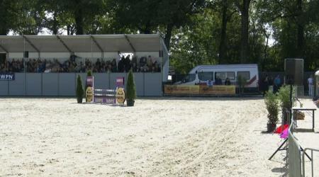 Nationale Tuigpaardendag 2023 - NMK: Keur & Elite - voorselectie