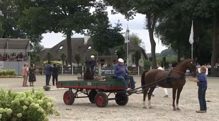 Enkelspan Boerenwagens