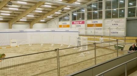 426. TOP NOTCH MAVERICK