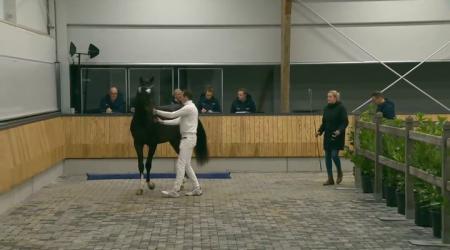 Dag 3 - Straatje (groep 1)