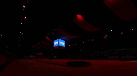 Aangewezen dressuurhengsten - groep 3