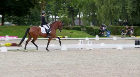 Halve finale Pavo Cup - 6-jarige Dressuurpaarden Groep 1