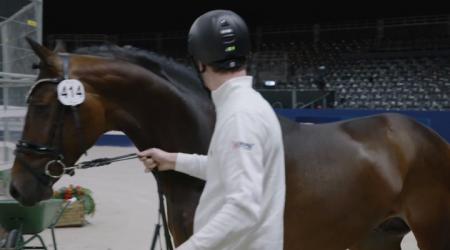 414. Jairo De' Courtier