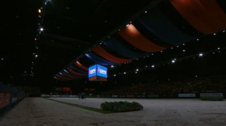 Presentatie aangewezen dressuurhengsten - groep 1