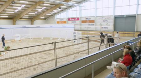 320. Diamantenglim AEH