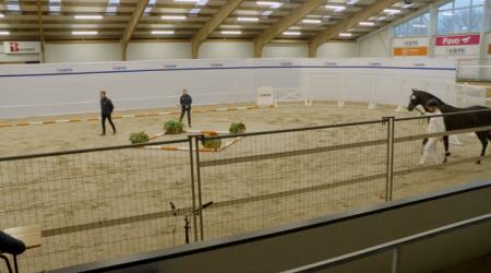 441. TOTALLY BLACK DBD