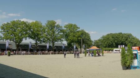 Finale driejarige merries