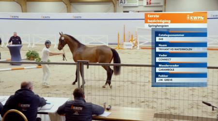 048. TRIVIANT VD WATERMOLEN