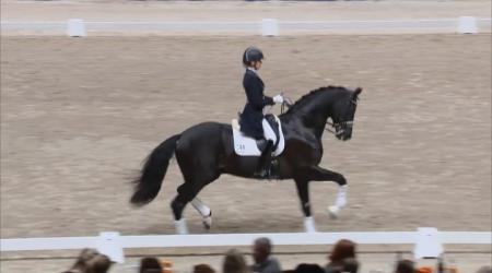 Presentatie 3e Bezichtigingshengsten onder het zadel