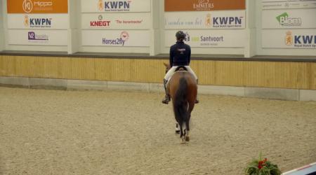 KWPN Eindexamen dressuur - najaar