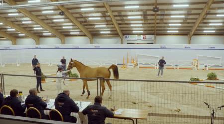 009. TZIGANE DI FIRENZE