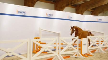 KWPN Kampioenschappen 2025 - Aftermovie