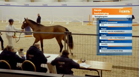 074. EMPIRE VAN DE HOGEBORG Z