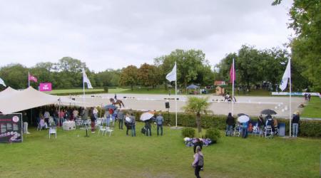 Finale Pavo Cup 4-jarige - 1e Deel Groep 1