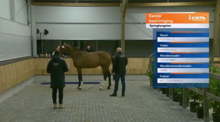 Dag 8 - Straatje (groep 1)