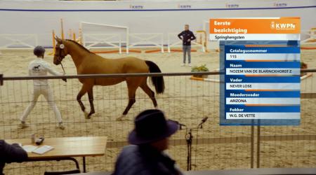 115. NOZEM VAN DE BLARINCKHORST