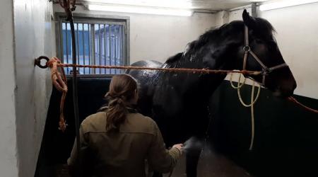 Vlog 9 - De week van ...