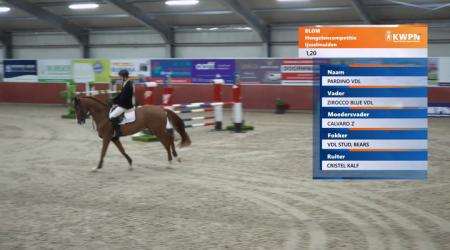 077. POKER DE LATIF (HC)