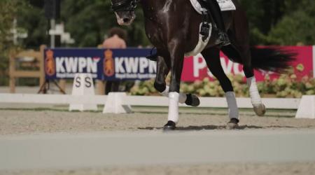 Interview PAVO Cup winnaar - 4-jarigen