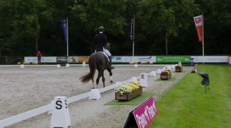 Finale Pavo Cup 5-jarige - 1e Deel Groep 2