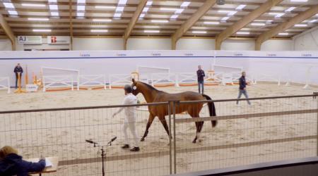 007. BINCK VD BERGHOEVE Z