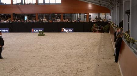 726. Techno Apple MJDB