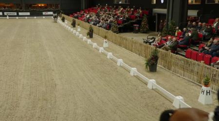 018. Power Dutch en 013. Pitch Perfect