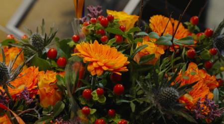 Vrienden van de fokkers van KWPN Sprigen