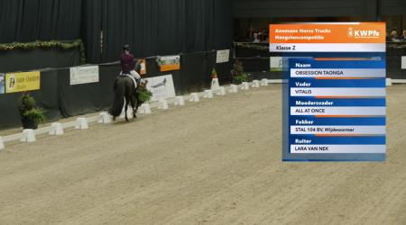 008. Obsession Taonga