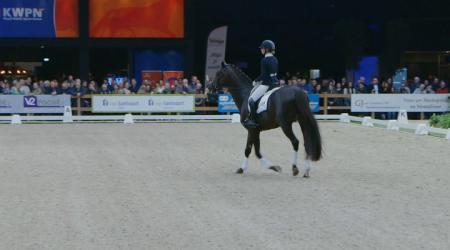 Huldiging wereldkampioen - Red viper