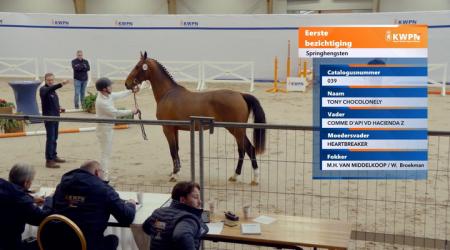 039. TONY CHOCOLONELY