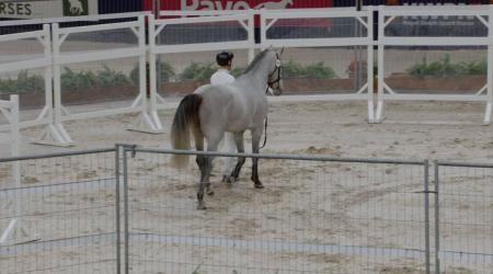 107. Moriaty Grey BR Z