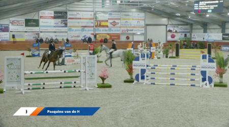 050 . Pasquino van de Hagenhorst (tweede manche)