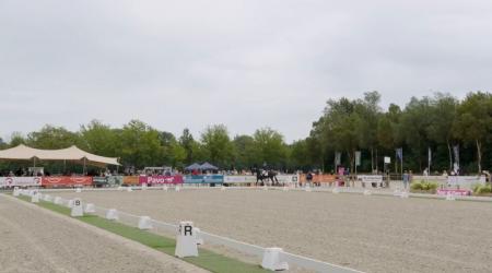 Oletaire en 473. Olive Quina Tf