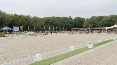 Phealinja US en 842. Pagani B WSJ