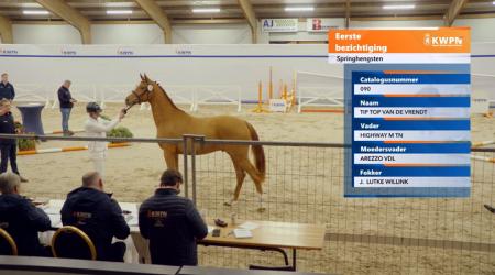 090. TIP TOP VAN DE VRENDT