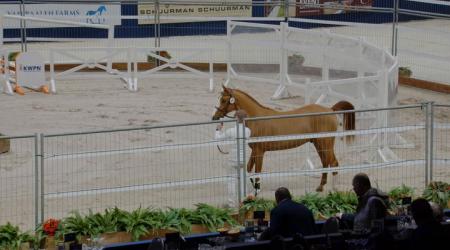 112 SAFWAN VM - LAY OUT X CONTENDRO II